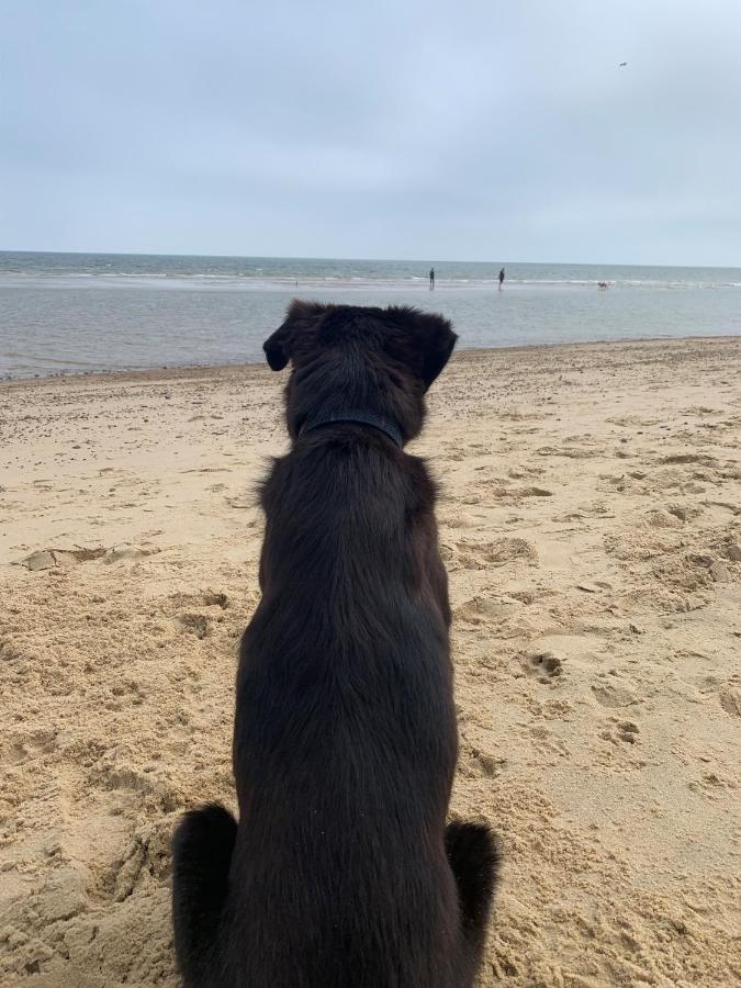 Norfolk Caravan Staycation Pet Friendly Belton with Browston Esterno foto