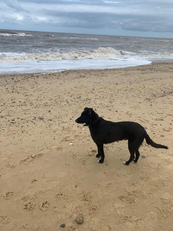 Norfolk Caravan Staycation Pet Friendly Belton with Browston Esterno foto